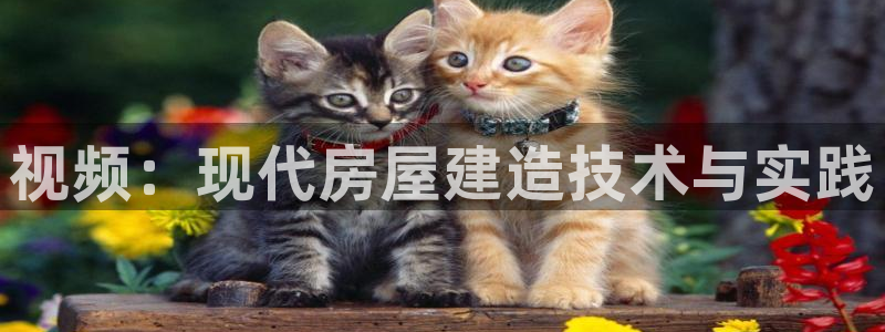 富联娱乐发展历程简介：视频：现代房屋建造技术与实践