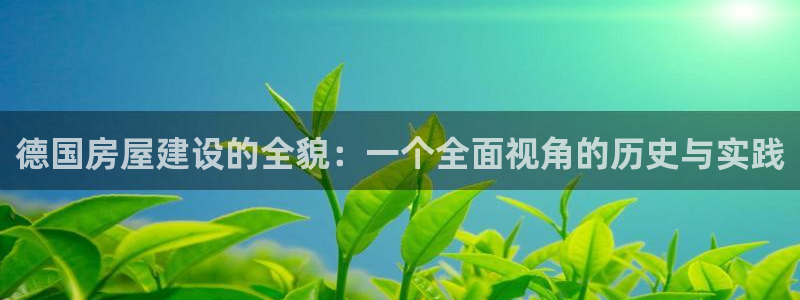 富联娱乐发展历程简述：德国房屋建设的全貌：一个全面视角的历史与实践