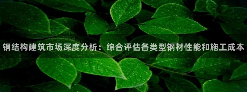 富联娱乐测速地址是什么：钢结构建筑市场深度分析：综合评估各类型钢材性能和施工成本