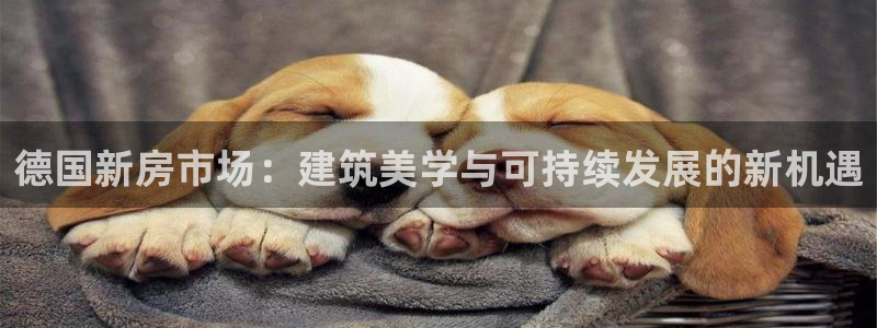 富联娱乐向5o69I7：德国新房市场：建筑美学与可持续发展的新机遇