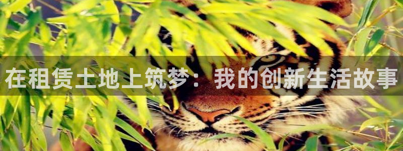 富联娱乐主管紧判官333OO：在租赁土地上筑梦：我的创新生活故事