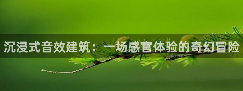 富联娱乐最厉害三个网站是什么：沉浸式音效建筑：一场感官体验的奇幻冒险
