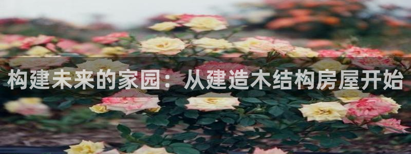 富联娱乐与67五壹叁八：构建未来的家园：从建造木结构房屋开始