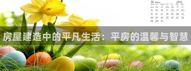 富联娱乐app下载安装：房屋建造中的平凡生活：平房的温馨与智慧