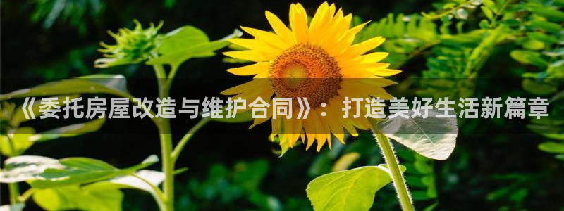 富联娱乐app官方下载最新版：《委托房屋改造与维护合同》：打造美好生活新篇章