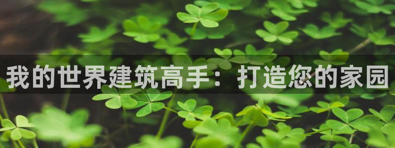 富联娱乐客户端登录不了：我的世界建筑高手：打造您的家园