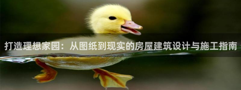 富联娱乐向5o69I7：打造理想家园：从图纸到现实的房屋建筑设计与施工指南