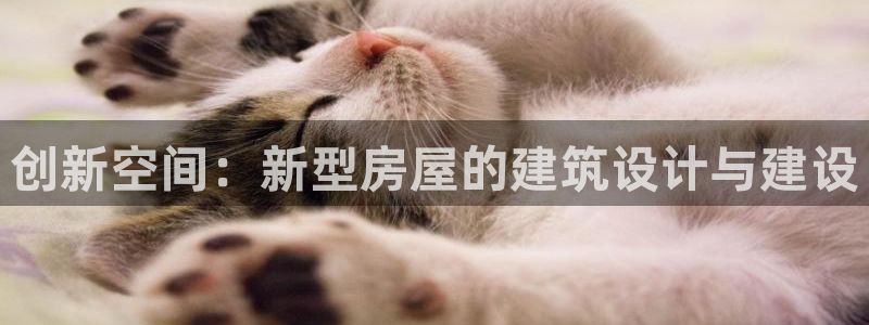 富联娱乐女团是谁的粉丝