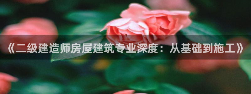 富联娱乐 肁企鹅779O3：《二级建造师房屋建筑专业深度：从基础到施工》