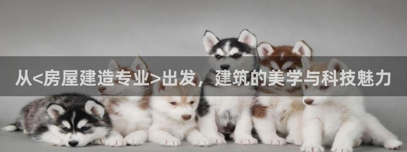 嘉峪关富联娱乐平台电话：从<房屋建造专业>出发，建筑的美学与科技魅力