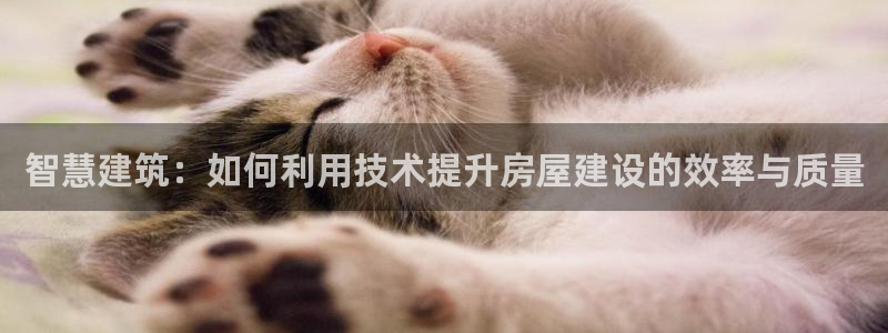 富联娱乐官方网站首页下载：智慧建筑：如何利用技术提升房屋建设的效率与质量