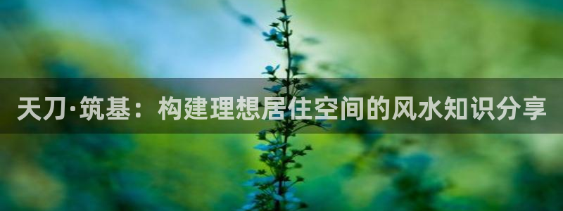 富联娱乐乞六七五一38：天刀·筑基：构建理想居住空间的风水知识分享