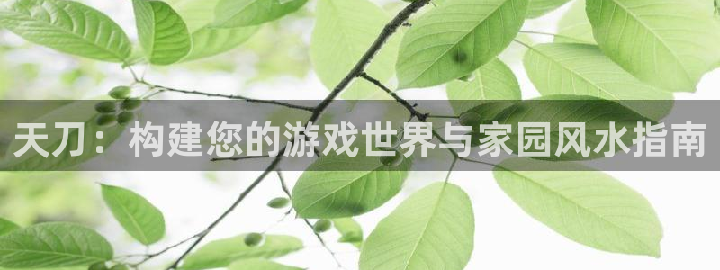 富联娱乐女团排名第几位：天刀：构建您的游戏世界与家园风水指南