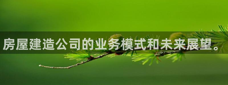 富联娱乐元哥：房屋建造公司的业务模式和未来展望。