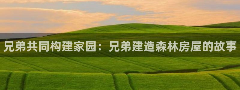 富联娱乐主营业务是什么：兄弟共同构建家园：兄弟建造森林房屋的故事