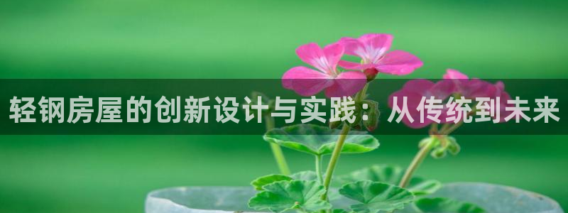 富联娱乐官方网站入口在线观看：轻钢房屋的创新设计与实践：从传统到未来