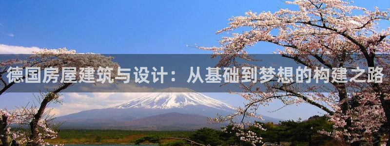富联娱乐服务站：德国房屋建筑与设计：从基础到梦想的构建之路