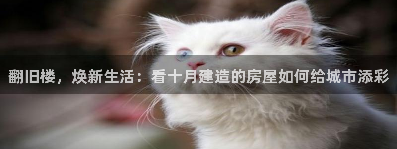 富联娱乐平台登录：翻旧楼，焕新生活：看十月建造的房屋如何给城市添彩