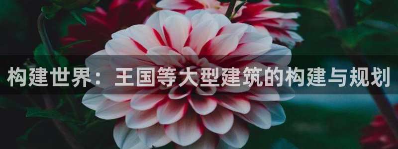 富联2娱乐贴吧最新消息：构建世界：王国等大型建筑的构建与规划
