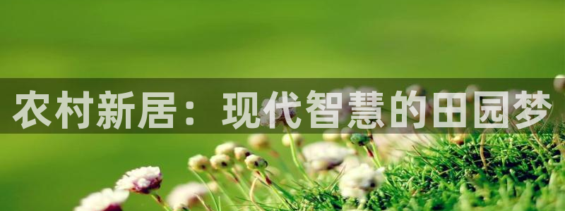 富联新村二区有啥娱乐：农村新居：现代智慧的田园梦