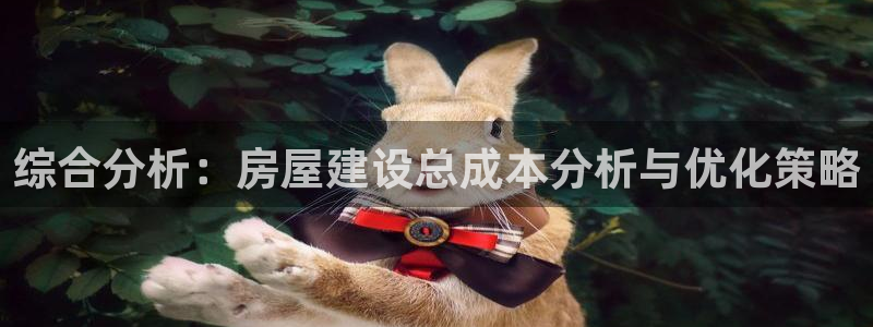 富联娱乐平台注册：综合分析：房屋建设总成本分析与优化策略