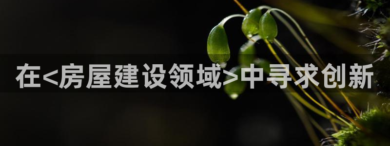 富联娱乐找527b.cn升哥：在<房屋建设领域>中寻求创新