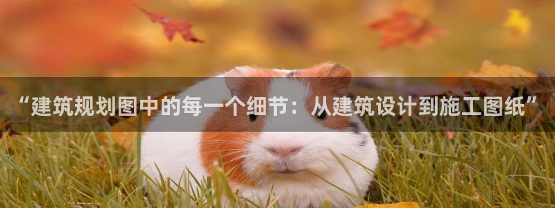 富联娱乐官网注册入口网址：“建筑规划图中的每一个细节：从建筑设计到施工图纸”