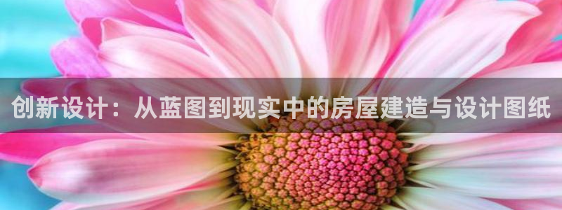 富联2娱乐贴吧：创新设计：从蓝图到现实中的房屋建造与设计图纸