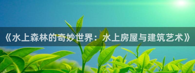 富联娱乐平台下载：《水上森林的奇妙世界：水上房屋与建筑艺术》