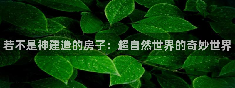 富联娱乐招商命判官333OO：若不是神建造的房子：超自然世界的奇妙世界