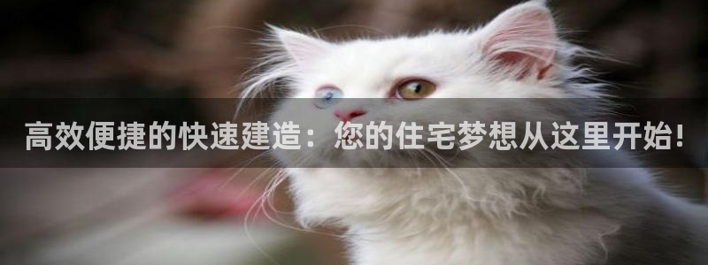 富联娱乐官方网站首页下载：高效便捷的快速建造：您的住宅梦想从这里开始!