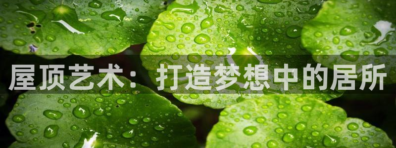 富联娱乐382223：屋顶艺术：打造梦想中的居所