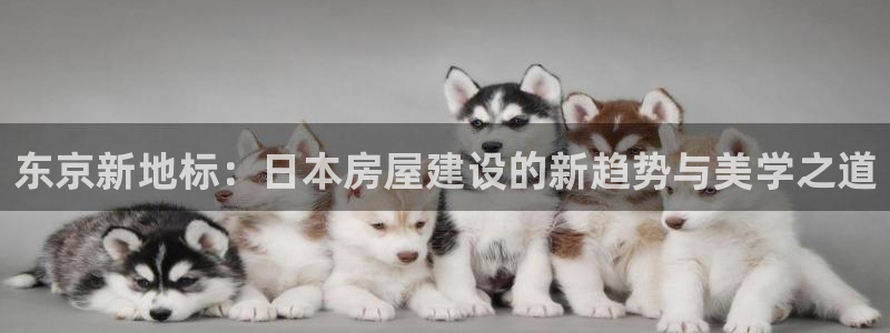 富联娱乐贴吧官网下载：东京新地标：日本房屋建设的新趋势与美学之道