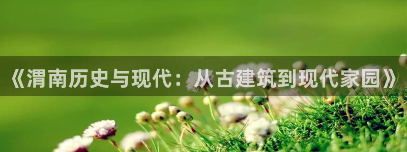富联娱乐是什么公司电话：《渭南历史与现代：从古建筑到现代家园》