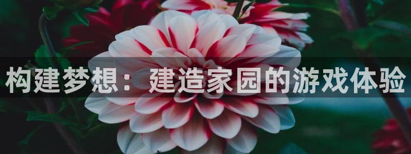 富联娱乐分红怎么样啊：构建梦想：建造家园的游戏体验