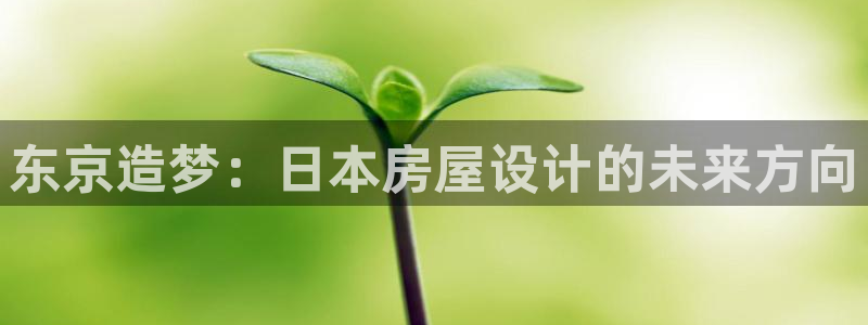 富联娱乐滴qv382223：东京造梦：日本房屋设计的未来方向