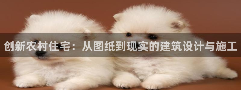 富联娱乐注册答唐老鸭779O3：创新农村住宅：从图纸到现实的建筑设计与施工