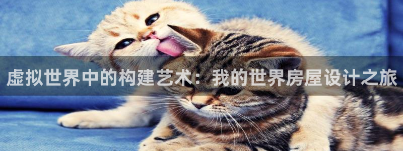 富联娱乐在线观看视频：虚拟世界中的构建艺术：我的世界房屋设计之旅