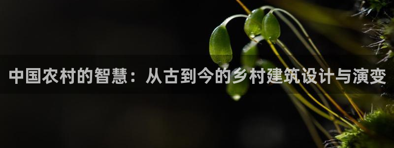 富联娱乐总代理电话地址：中国农村的智慧：从古到今的乡村建筑设计与演变