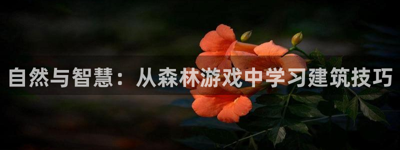 富联娱乐章7O777：自然与智慧：从森林游戏中学习建筑技巧