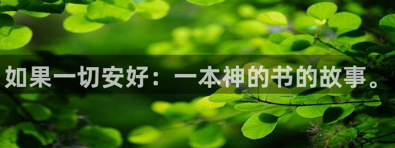 富联娱乐官方网站入口网址：如果一切安好：一本神的书的故事。