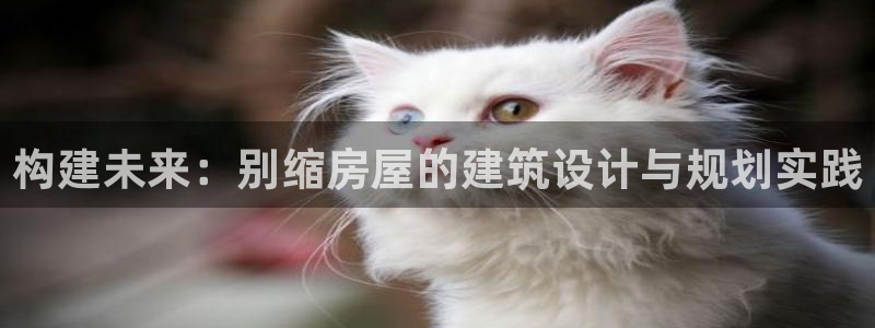 富联2娱乐资讯官网：构建未来：别缩房屋的建筑设计与规划实践