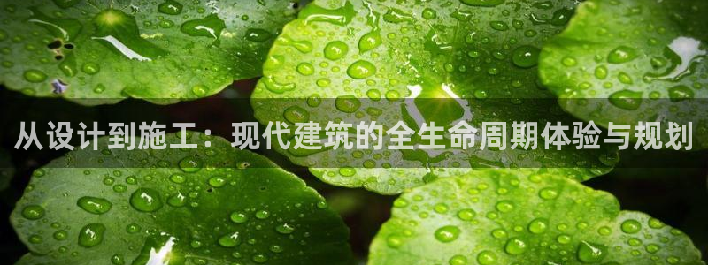 富联娱乐APP下载：从设计到施工：现代建筑的全生命周期体验与规划