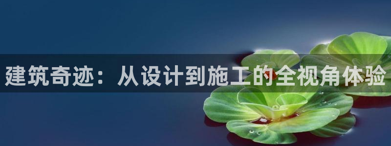 富联娱乐主管述判官333OO：建筑奇迹：从设计到施工的全视角体验