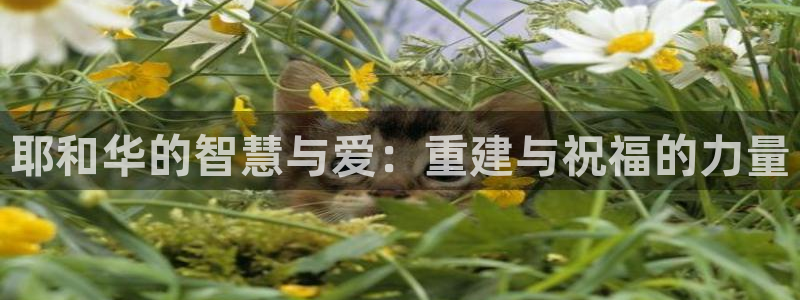 富联娱乐代理：耶和华的智慧与爱：重建与祝福的力量