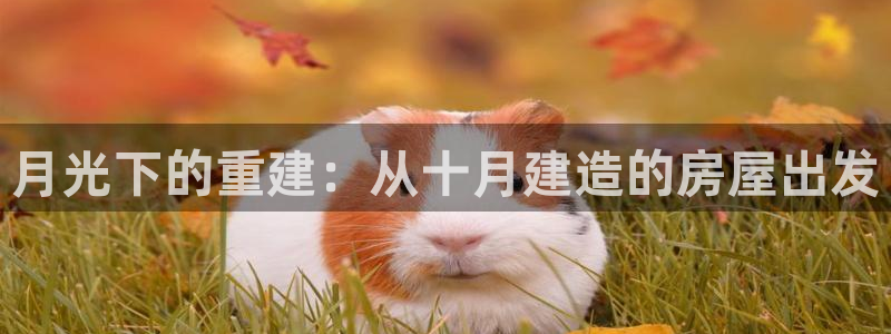 富联2娱乐平台注册不了：月光下的重建：从十月建造的房屋出发