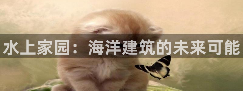 富联2娱乐平台注册不了：水上家园：海洋建筑的未来可能