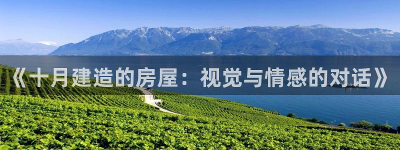 富联娱乐开户费用多少：《十月建造的房屋：视觉与情感的对话》