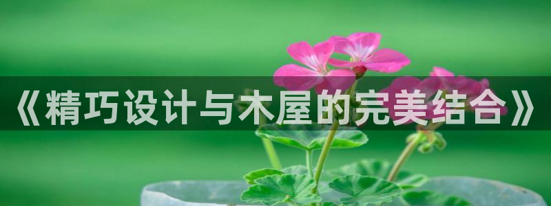 富联娱乐招商命判官333OO：《精巧设计与木屋的完美结合》