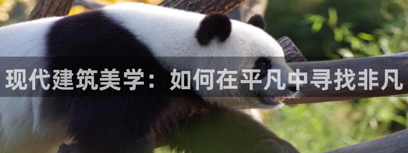 富联2娱乐招熵：现代建筑美学：如何在平凡中寻找非凡